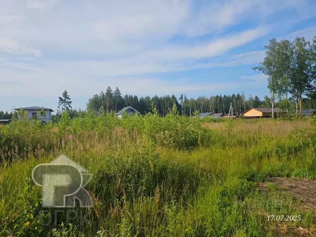 Участок в Московская область, Раменский муниципальный округ, Фенино ... - Фото 2