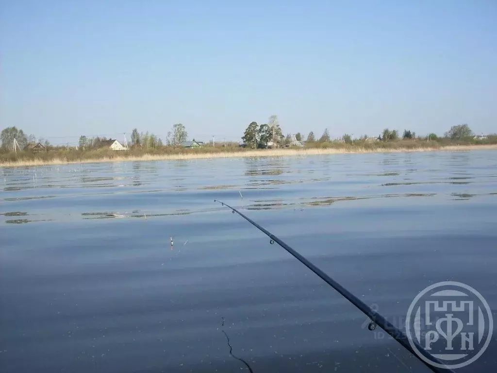 Участок в Ленинградская область, Всеволожский район, Рахьинское ... - Фото 1