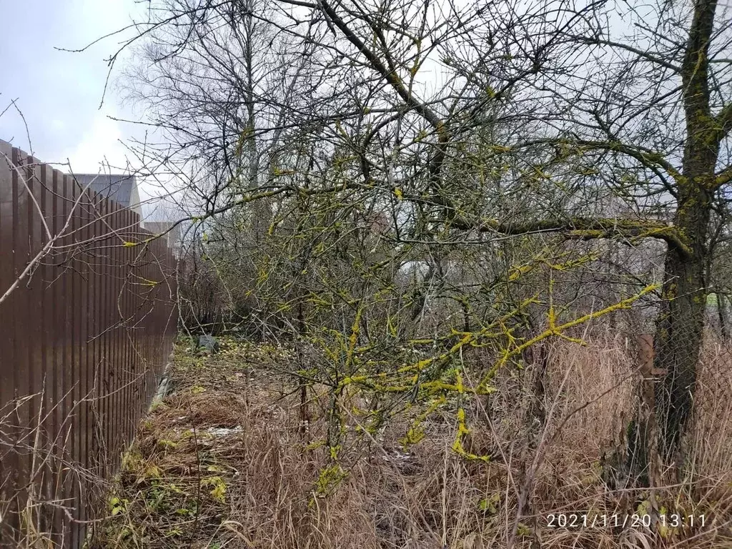 Участок в Ленинградская область, Гатчинский муниципальный округ, с. ... - Фото 2