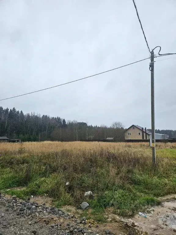 Участок в Калужская область, Жуковский муниципальный округ, Совхоз ... - Фото 1