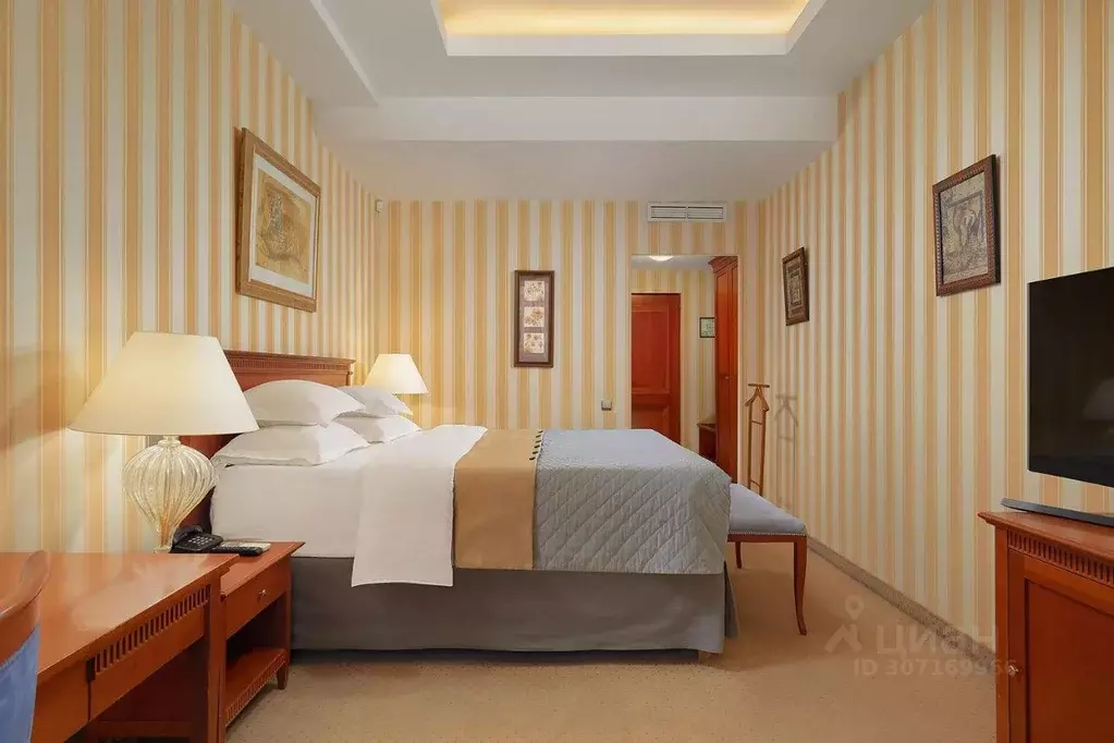 Комната Санкт-Петербург Владимирский просп., 9 (21.0 м) - Фото 1