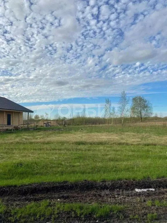 Участок в Тюменская область, Тюмень Русь садовое товарищество, ул. ... - Фото 1
