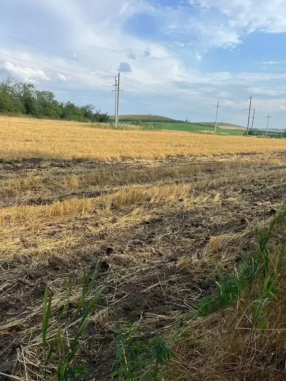 Участок в Ставропольский край, Пятигорск городской округ, пос. ... - Фото 1