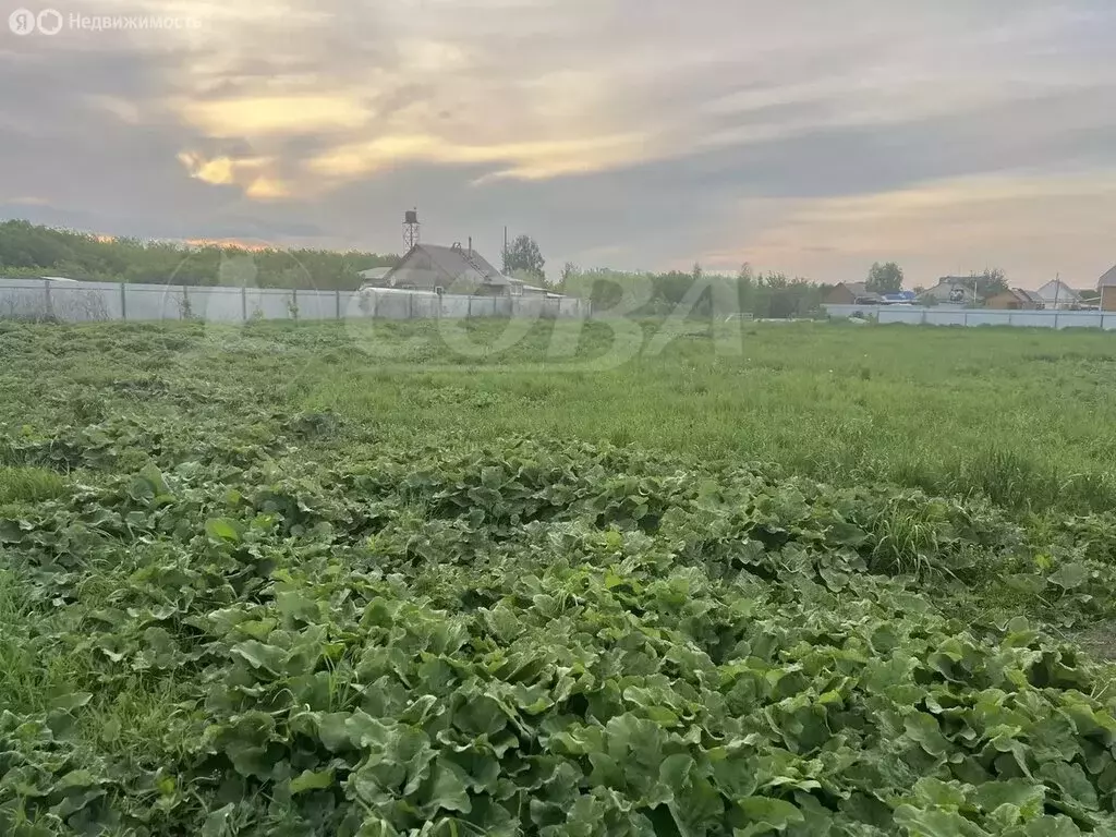 Участок в Тюменский муниципальный округ, село Успенка (13.5 м) - Фото 2
