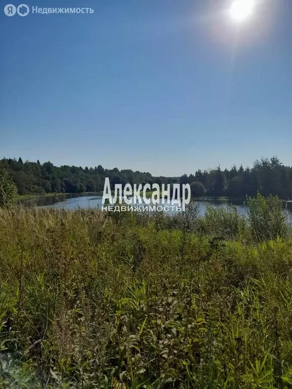 Участок в Потанинское сельское поселение, деревня Вороново (19 м) - Фото 0