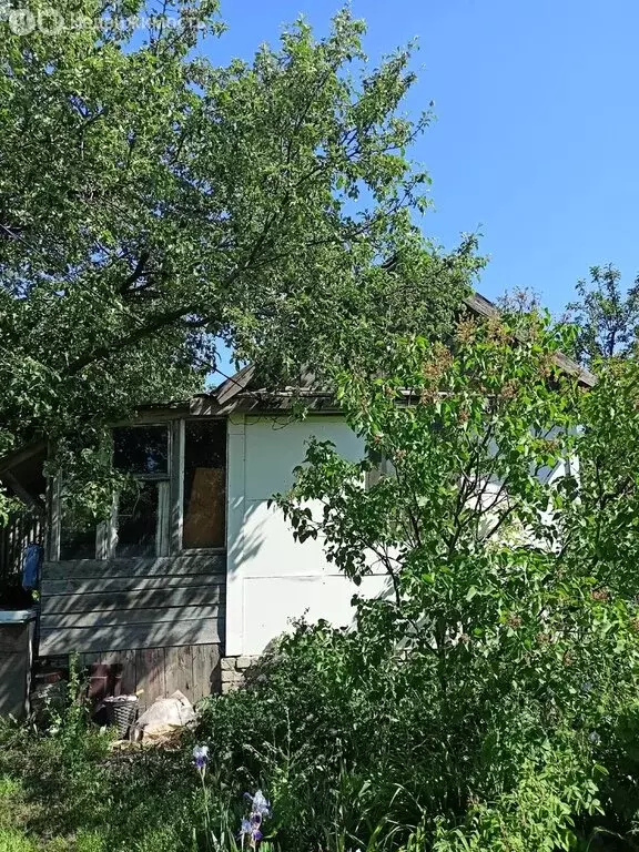 Дом в Саратов, СНТ Берёзовая Роща (25 м) - Фото 1