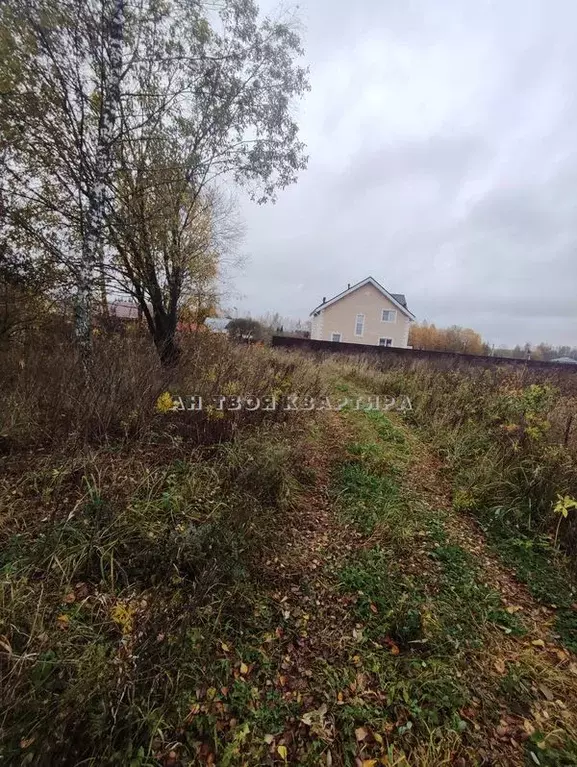 Продается участок в д. Торхово - Фото 1