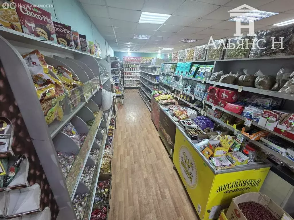 Помещение свободного назначения (203 м) - Фото 2