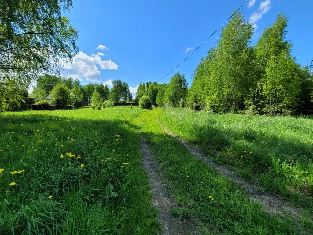 Участок в Ярославская область, Ярославский муниципальный округ, д. ... - Фото 2