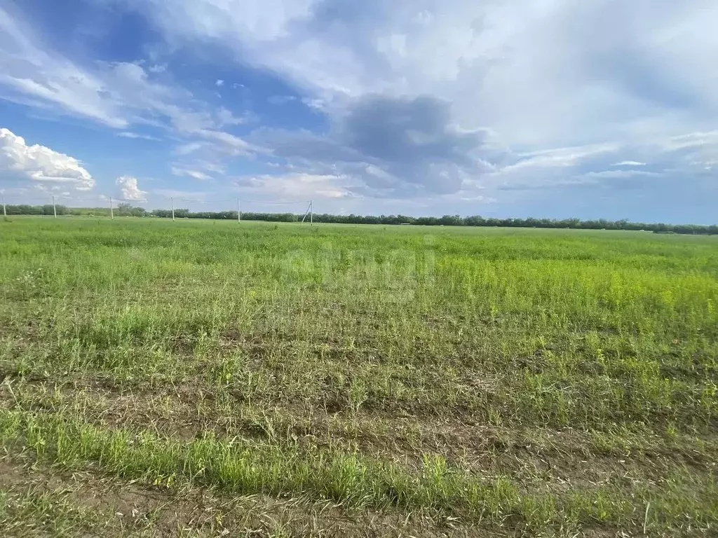 Участок в Самарская область, Ставропольский район, с. Подстепки ул. ... - Фото 2