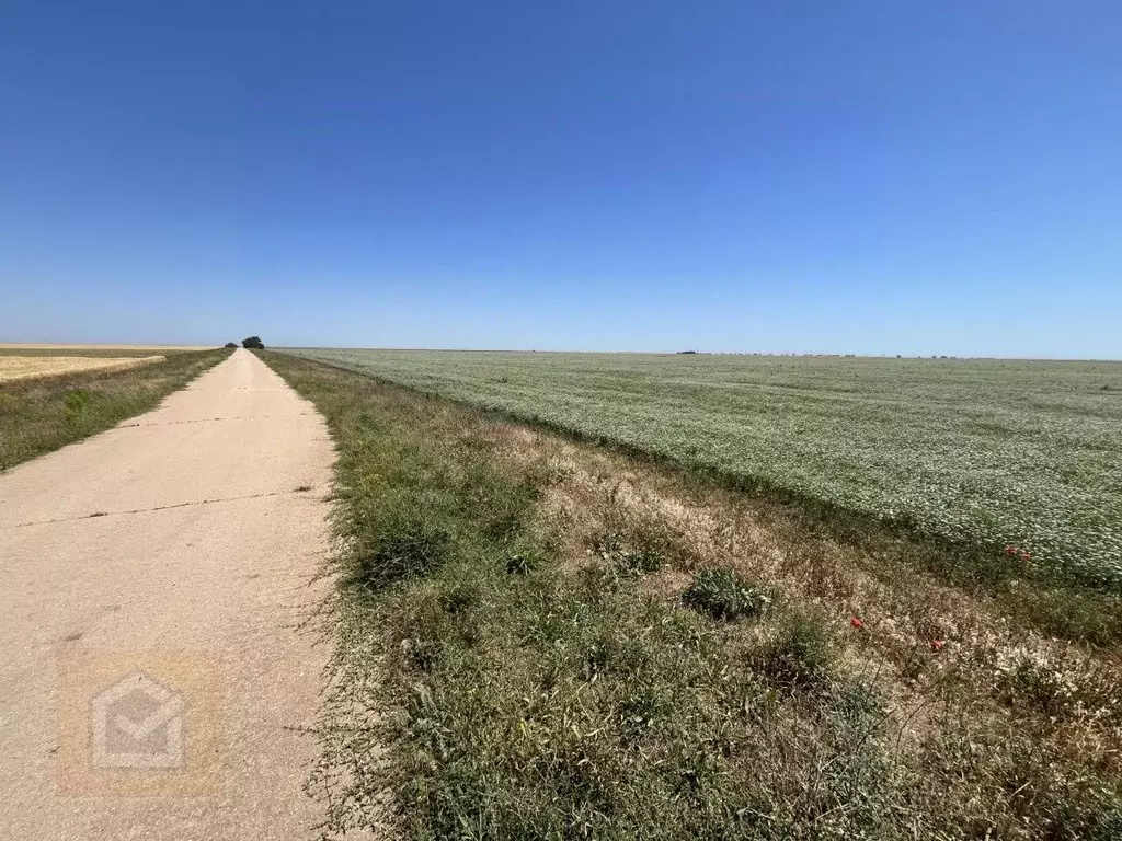Участок в Крым, Сакский район, с. Молочное  (4.22 сот.) - Фото 1