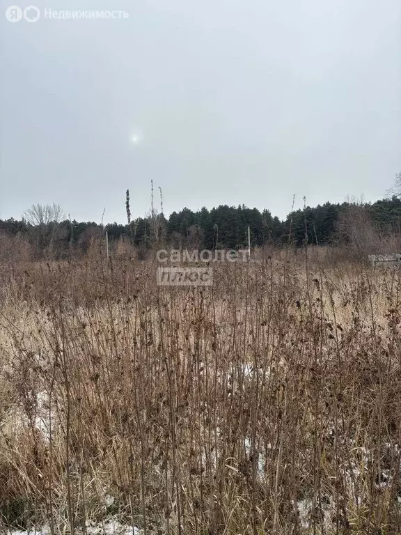 Участок в Заводоуковск, Советский переулок, 10 (10 м) - Фото 2