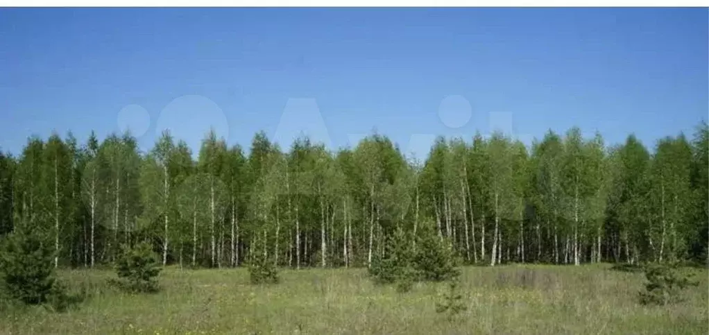 Участок 10,38 га (СНТ, ДНП) - Фото 0