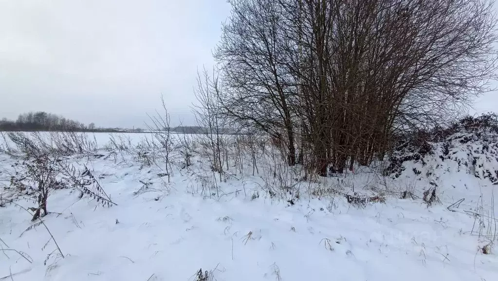 Участок в Ярославская область, Ярославский муниципальный округ, д. ... - Фото 2
