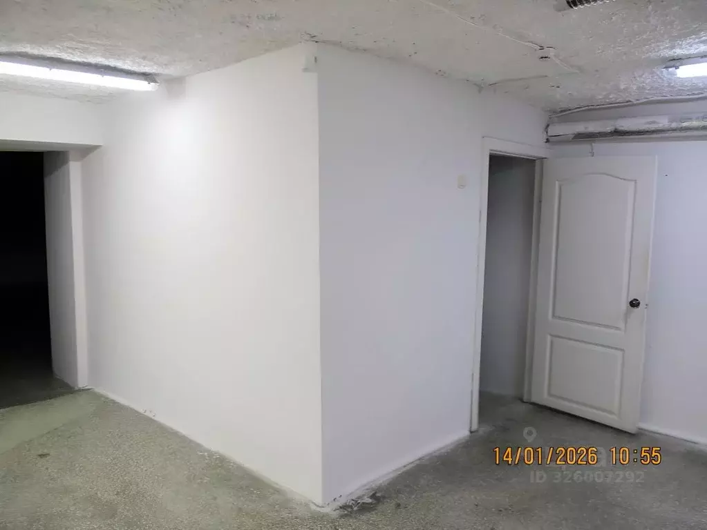 Помещение свободного назначения в Новосибирская область, Новосибирск ... - Фото 2