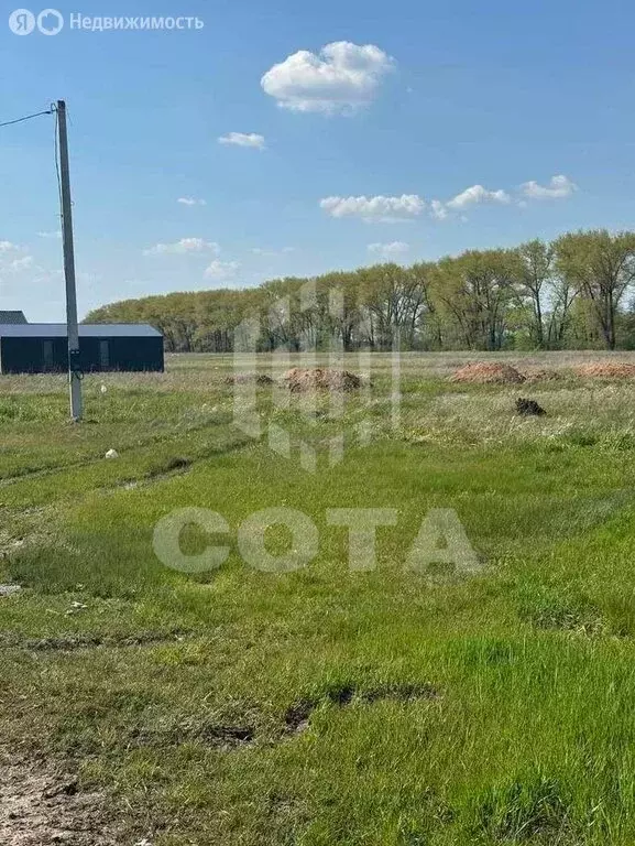 Участок в село Новая Усмань, Дачная улица (9 м) - Фото 2