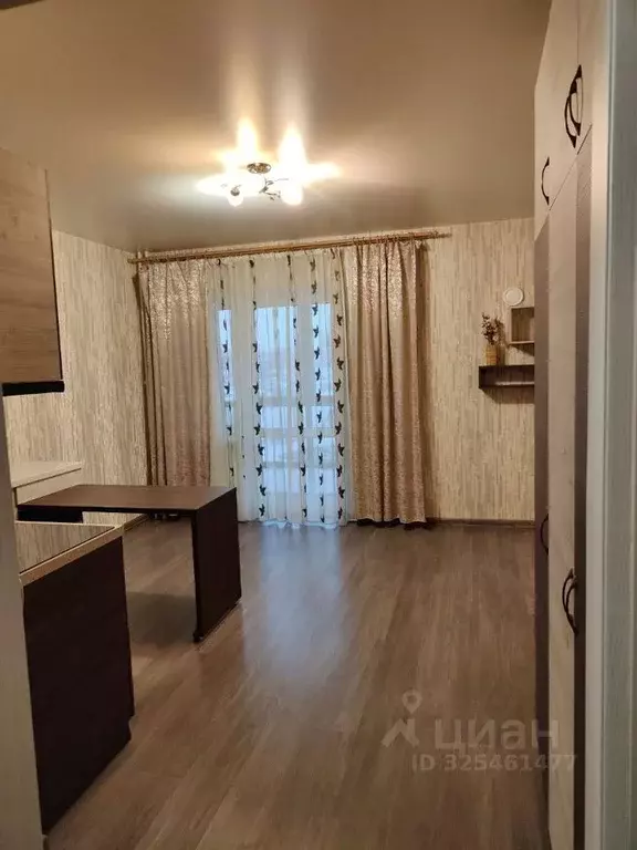 Студия Псковская область, Псков ул. Юности, 24 (27.0 м) - Фото 1