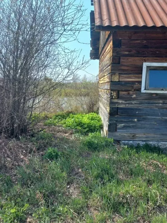 Участок в Курганская область, Кетовский муниципальный округ, д. ... - Фото 1