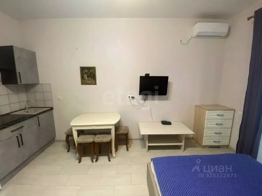 Студия Краснодарский край, Анапа Пионерский просп., 57к3 (25.7 м) - Фото 2