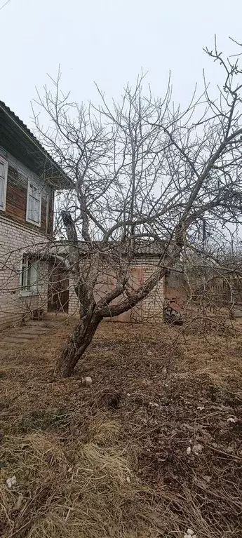 Дом 247 м на участке 9 сот. - Фото 1