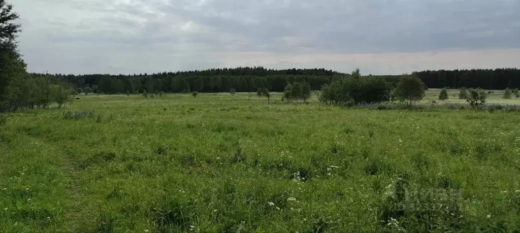 Участок в Владимирская область, Судогодский район, д. Новокарповка  ... - Фото 1