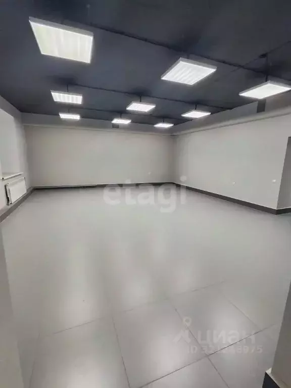 Помещение свободного назначения в Амурская область, Благовещенск ... - Фото 1