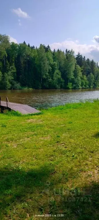 Участок в Московская область, Мытищи городской округ, пос. ... - Фото 2