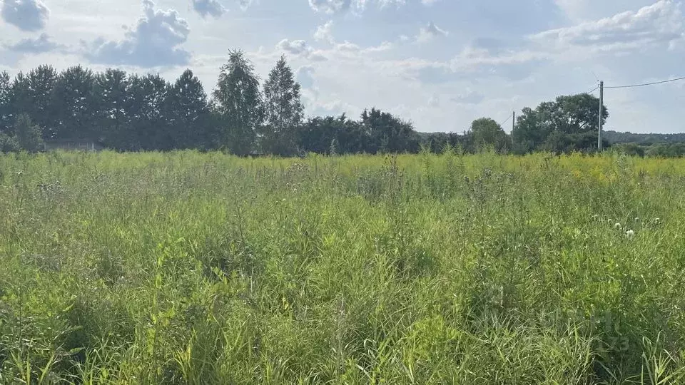 Участок в Московская область, Кашира городской округ, д. Ледово  ... - Фото 2