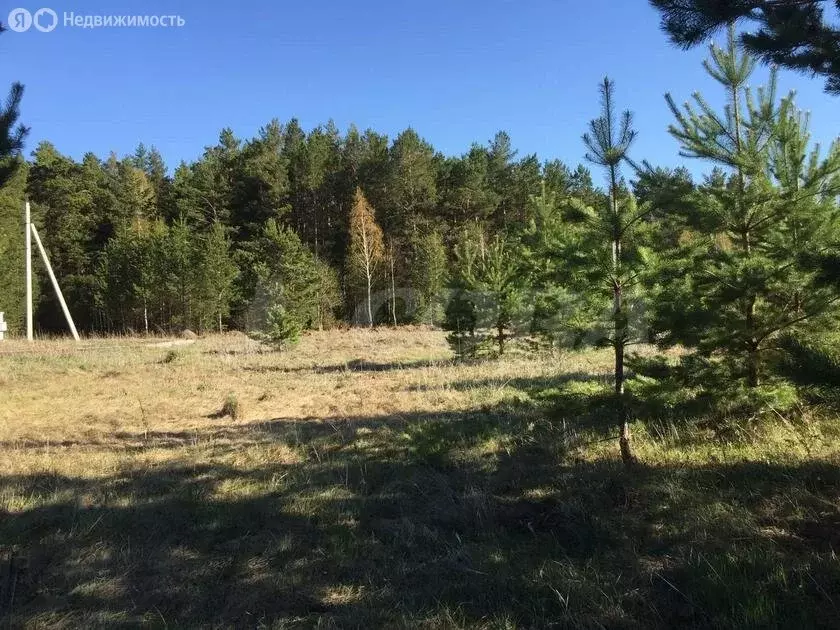 Участок в Свердловская область, Тугулымский муниципальный округ, село ... - Фото 2