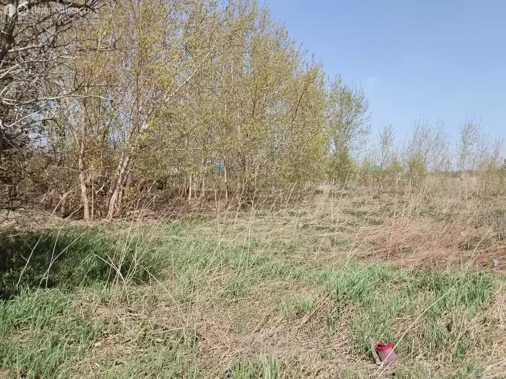 Участок в Мошково, Линейная улица (12 м) - Фото 0