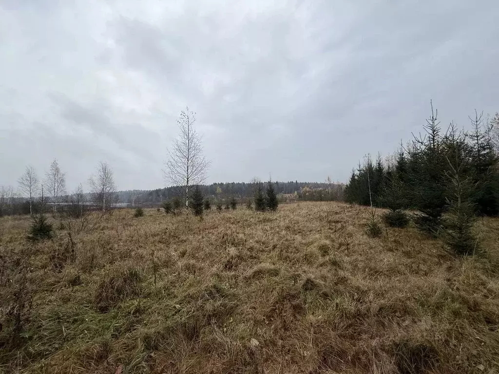 Участок в Московская область, Сергиево-Посадский городской округ, ПРП ... - Фото 1