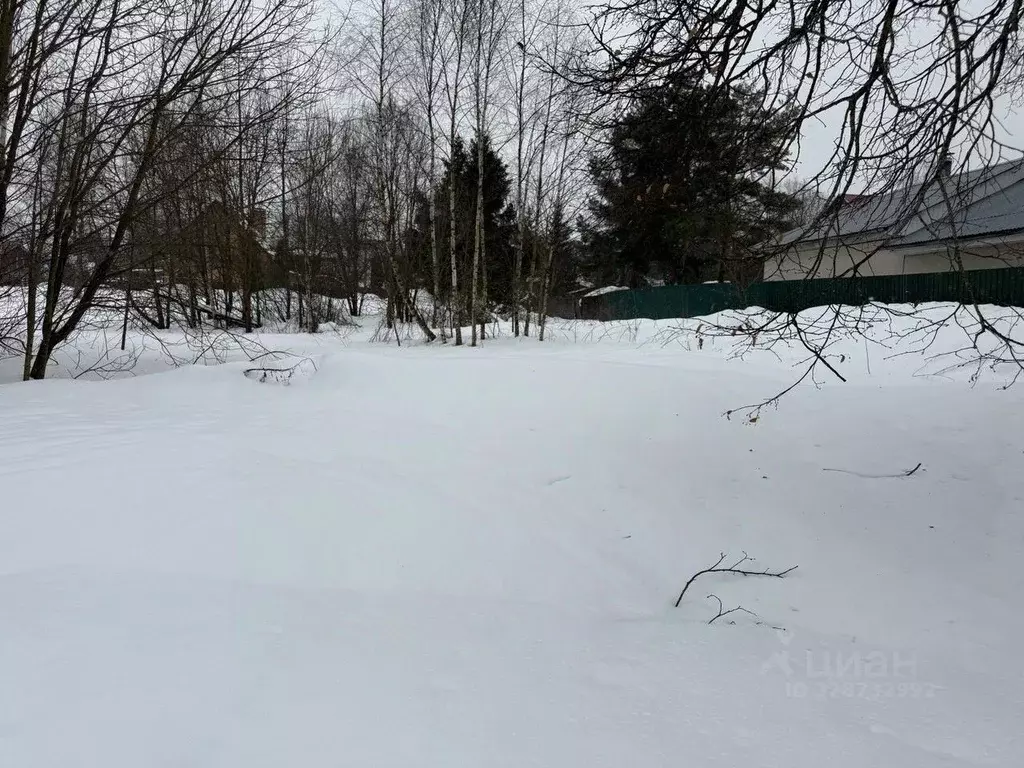 Участок в Московская область, Пушкинский городской округ, Ашукино пгт ... - Фото 1