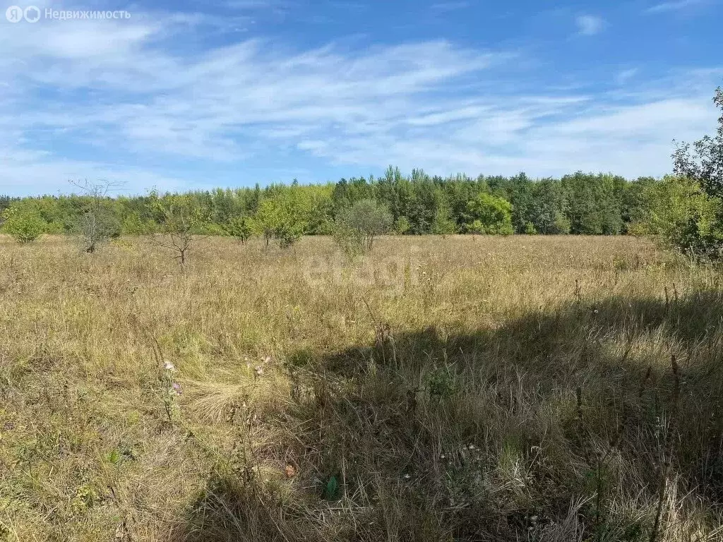 Участок в Новоусманский район, село Бабяково (200 м) - Фото 0