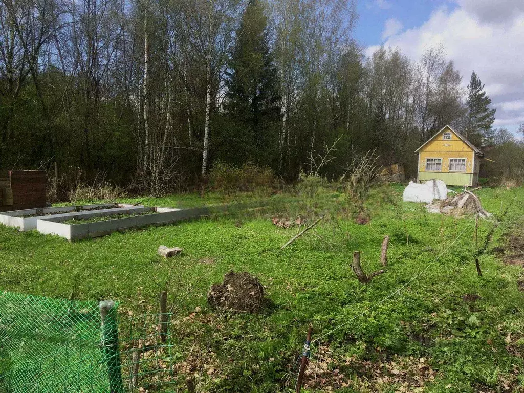 Участок в Ярославская область, Рыбинск Полиграфист-3 СНТ, 202 (6.0 ... - Фото 1