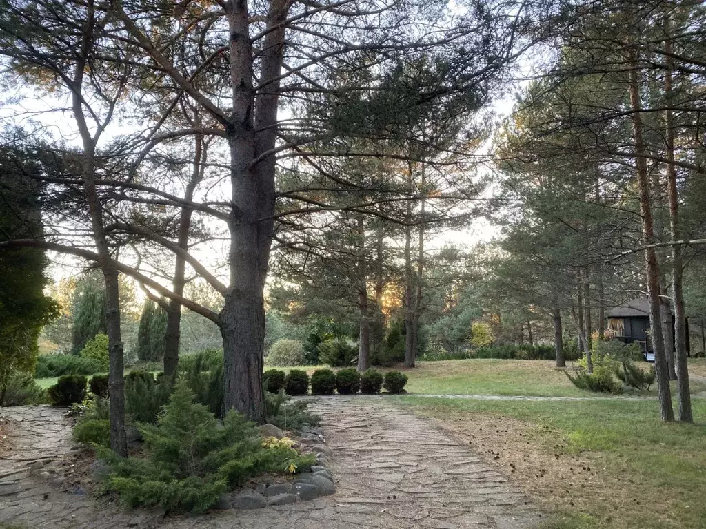 Дом в Ярославская область, Некрасовский муниципальный округ, д. ... - Фото 1