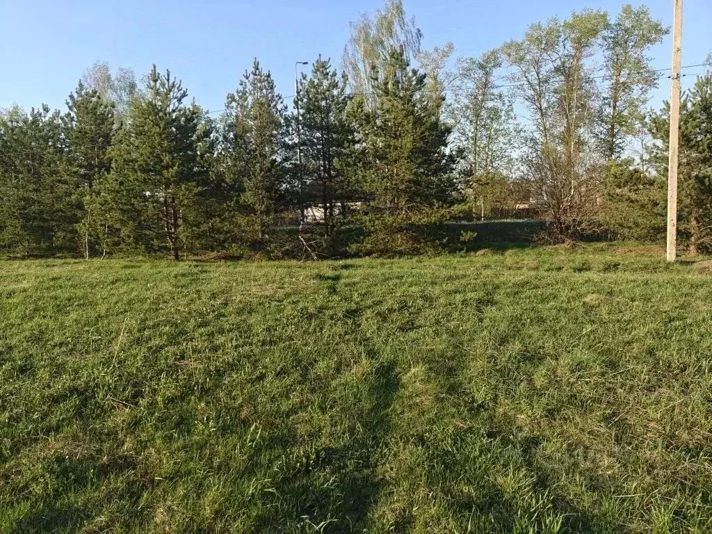 Участок в Московская область, Павлово-Посадский городской округ, д. ... - Фото 1