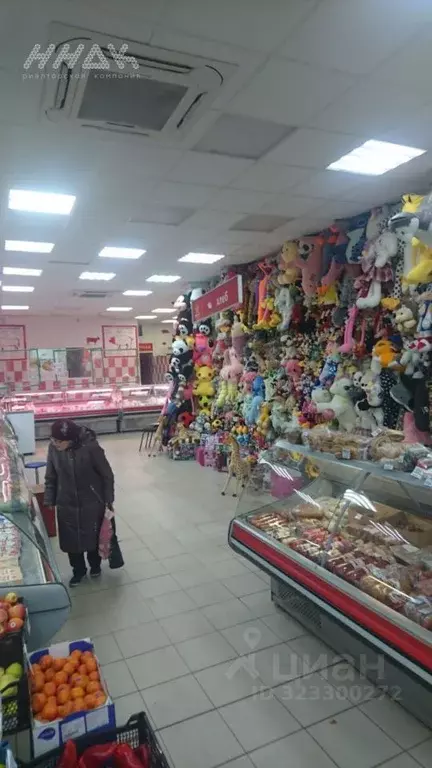 Торговая площадь в Нижегородская область, Нижний Новгород ул. ... - Фото 2