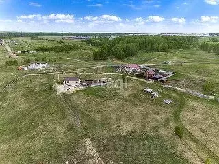 Участок в Новосибирская область, Коченевский район, Волна ДНТ ул. ... - Фото 1