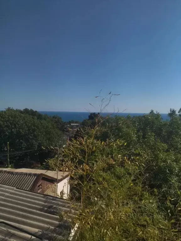 Комната Крым, Ялта муниципальный округ, Понизовка пгт ул. Советская, 7 - Фото 1