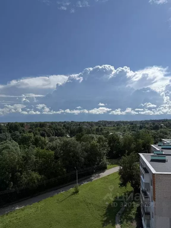 2-к кв. Псковская область, Великие Луки Рабочая ул., 1К1 (53.0 м) - Фото 1