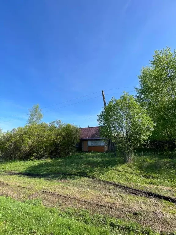 Участок в Тульская область, Алексин городской округ, с. Петрушино 45 ... - Фото 0