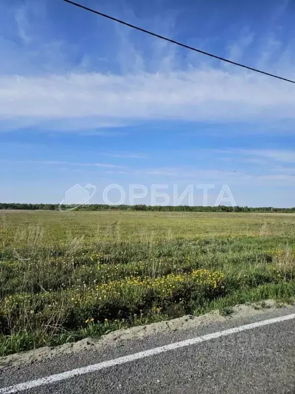 Участок в Тюменская область, Тюменский муниципальный округ, д. Елань ... - Фото 1
