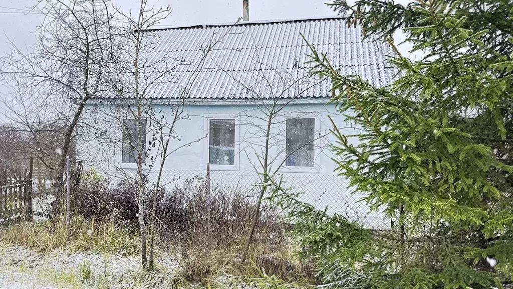 Дом в Псковская область, Локня рп ул. Лесная, 10 (35 м) - Фото 1