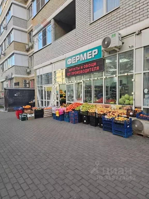 Помещение свободного назначения в Краснодарский край, Краснодар ул. ... - Фото 1