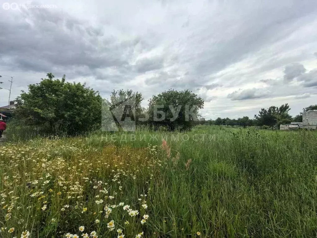 Участок в Семилукский район, село Губарёво, Партизанская улица, 68 (45 ... - Фото 1