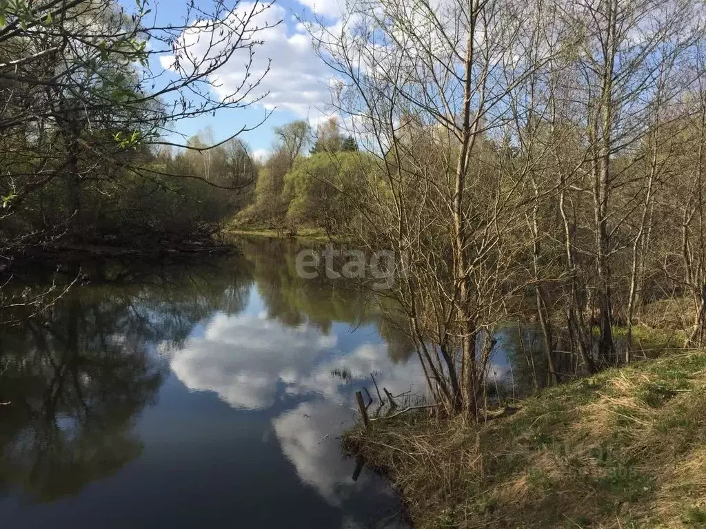 Участок в Калужская область, Тарусский муниципальный округ, Петрищево ... - Фото 1