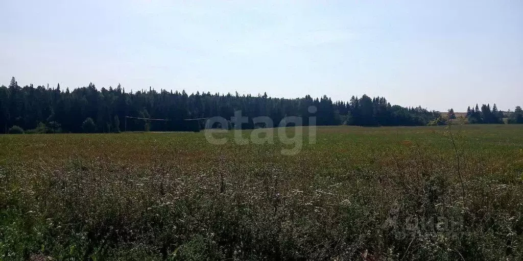Участок в Удмуртия, Малопургинский район, д. Чурашур ул. Вишневая ... - Фото 1