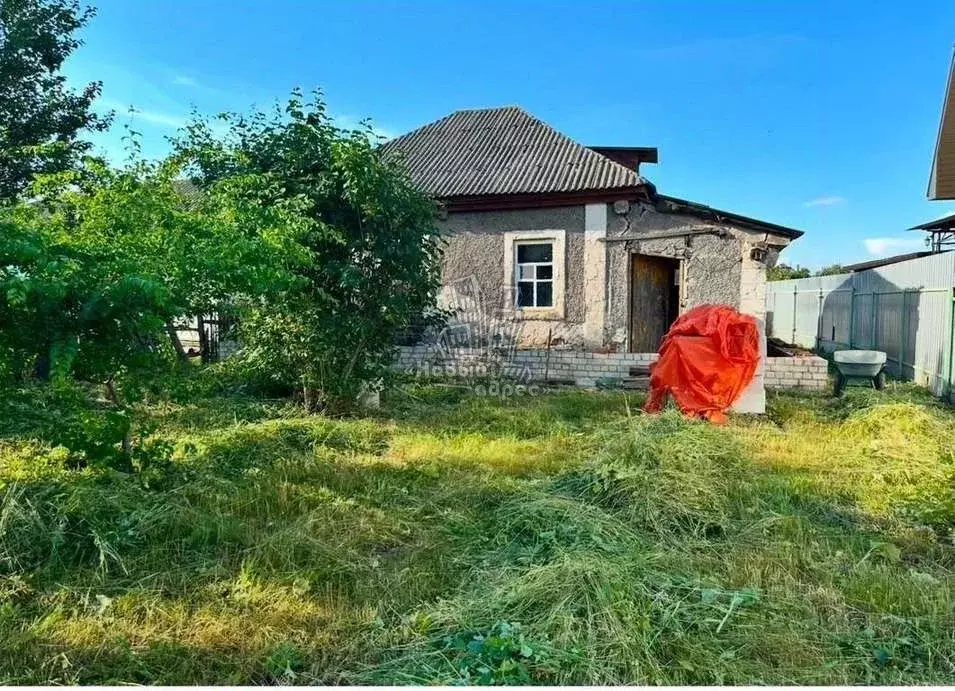 Дом в Воронежская область, Верхнехавский район, Углянское с/пос, пос. ... - Фото 1
