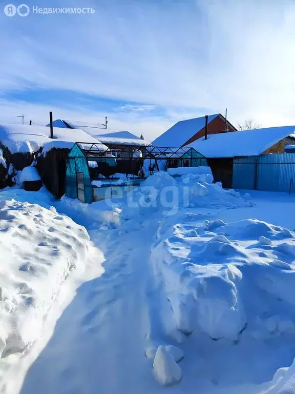 Дом в Шадринск, улица Анисимова (38 м) - Фото 1