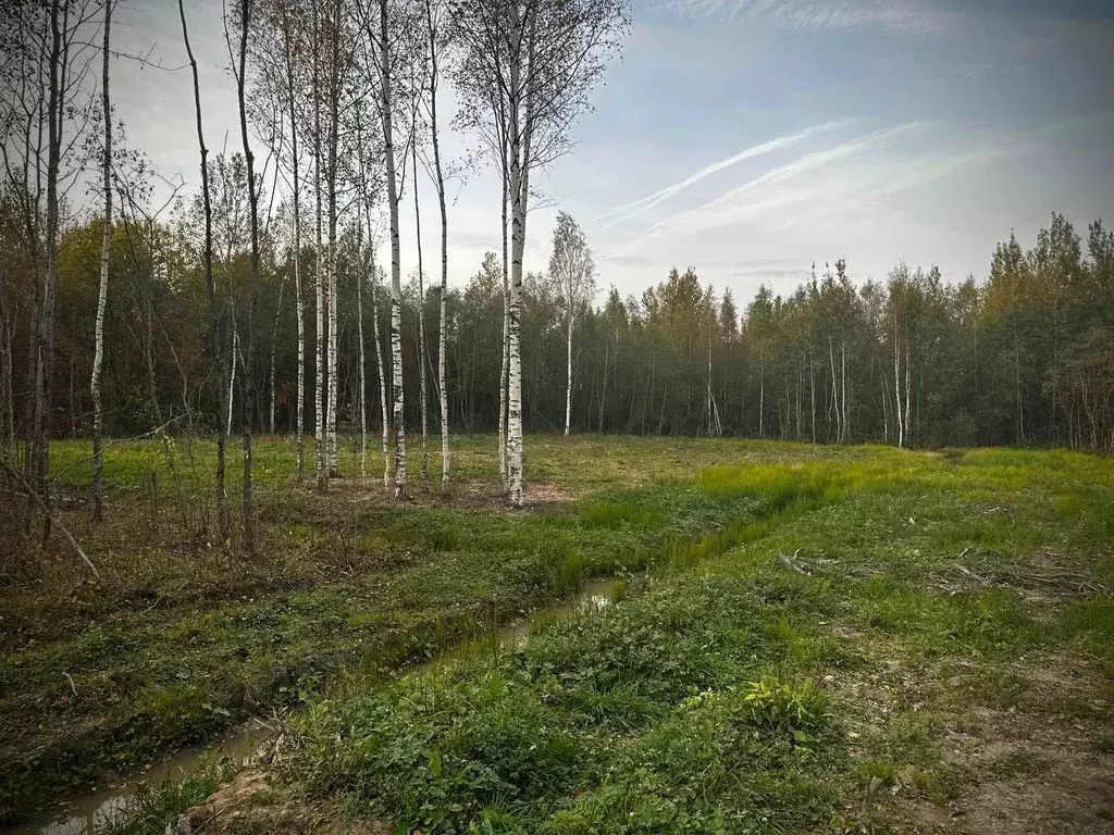 Участок в Новгородская область, Малая Вишера ул. 3-я Парковая (12.0 ... - Фото 0